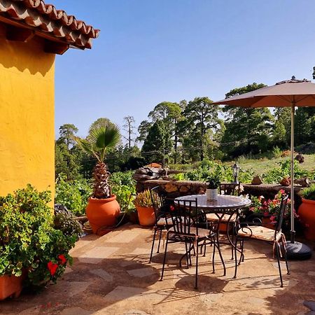 Villa Federico à Puntagorda Extérieur photo