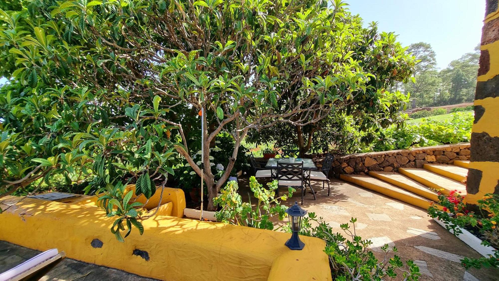 Villa Federico à Puntagorda Extérieur photo