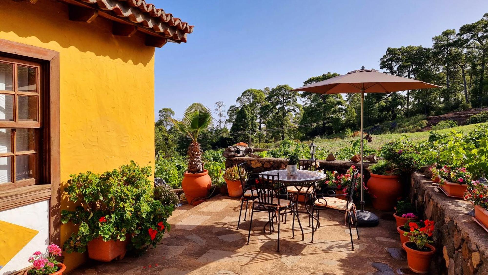 Villa Federico à Puntagorda Extérieur photo