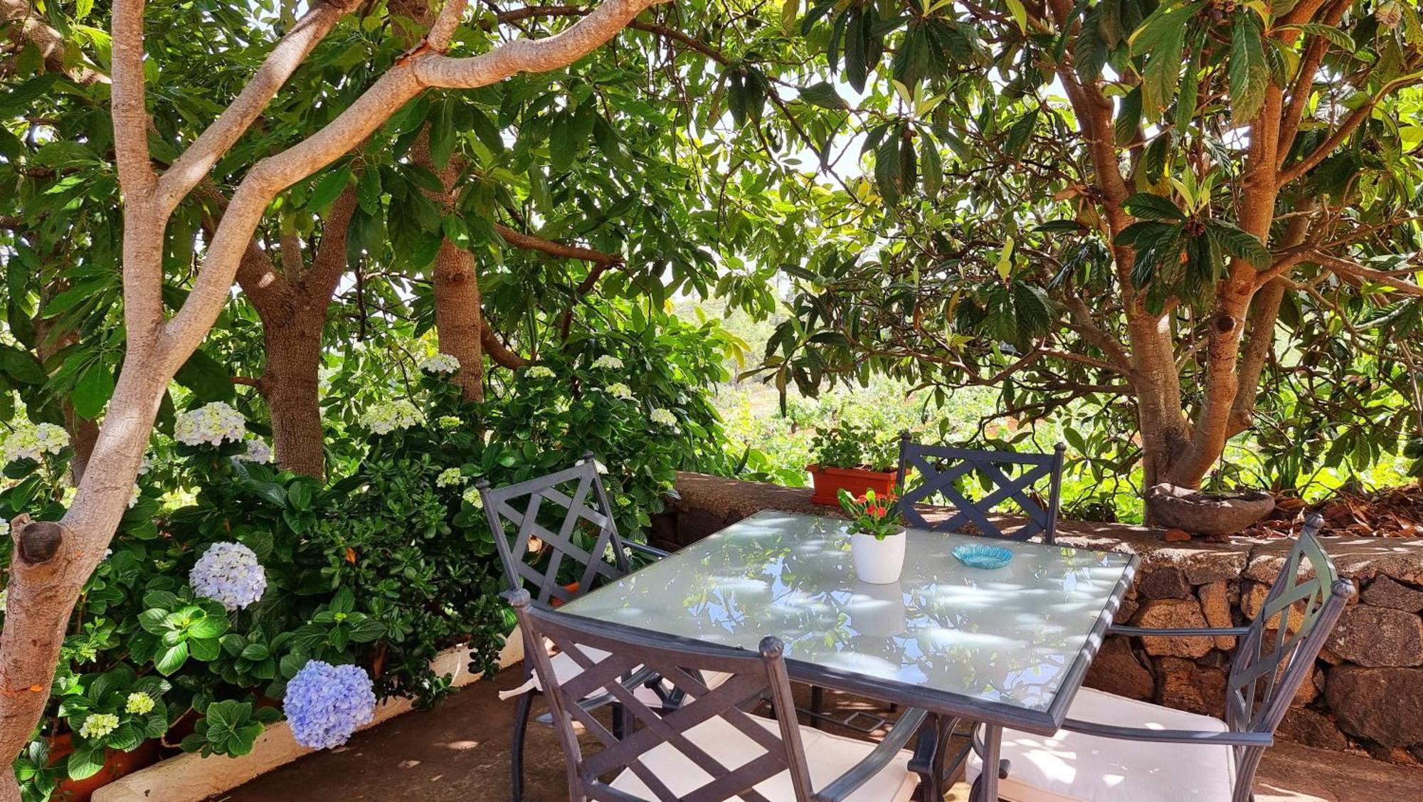 Villa Federico à Puntagorda Extérieur photo