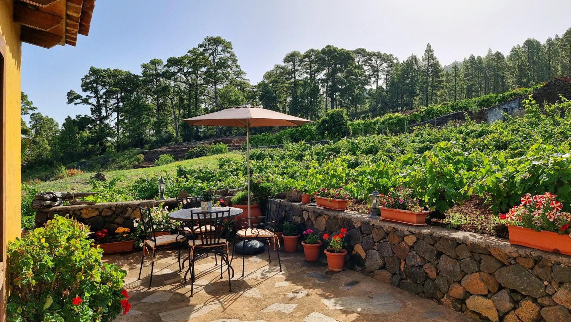 Villa Federico à Puntagorda Extérieur photo